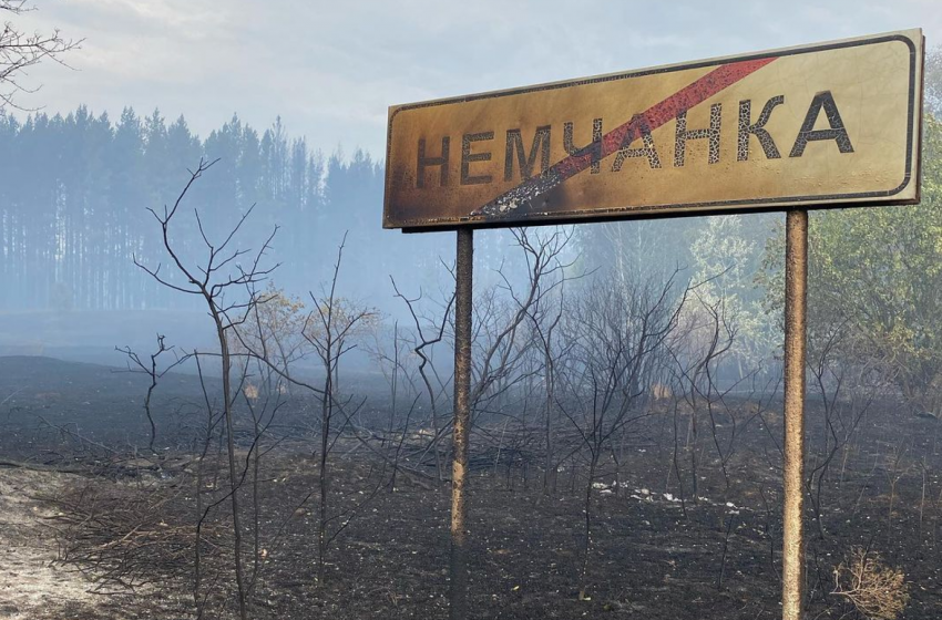  «Не могли спрогнозировать, куда переметнется огонь в следующую минуту»: жители Борского района о пожаре