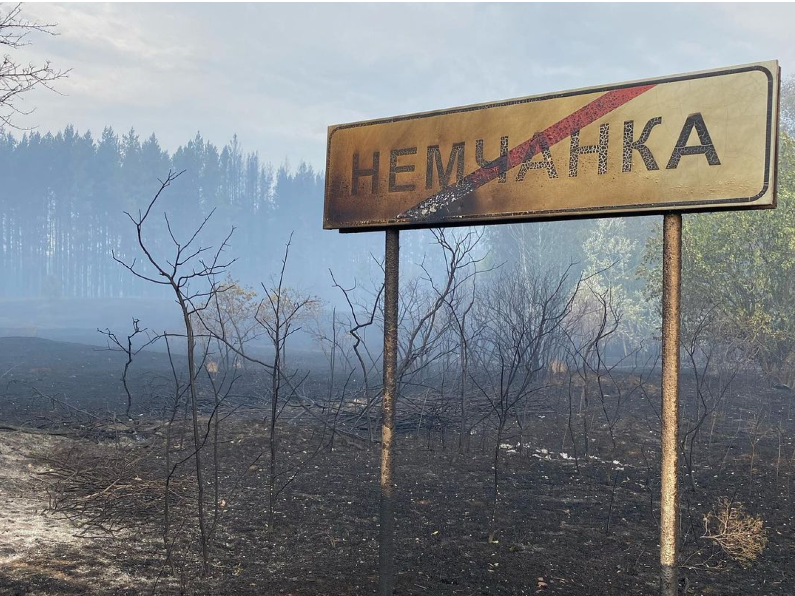  «Не могли спрогнозировать, куда переметнется огонь в следующую минуту»: жители Борского района о пожаре